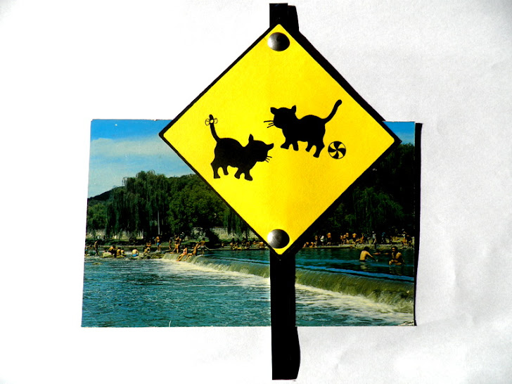 NORBERTO JOSÉ MARTINEZ