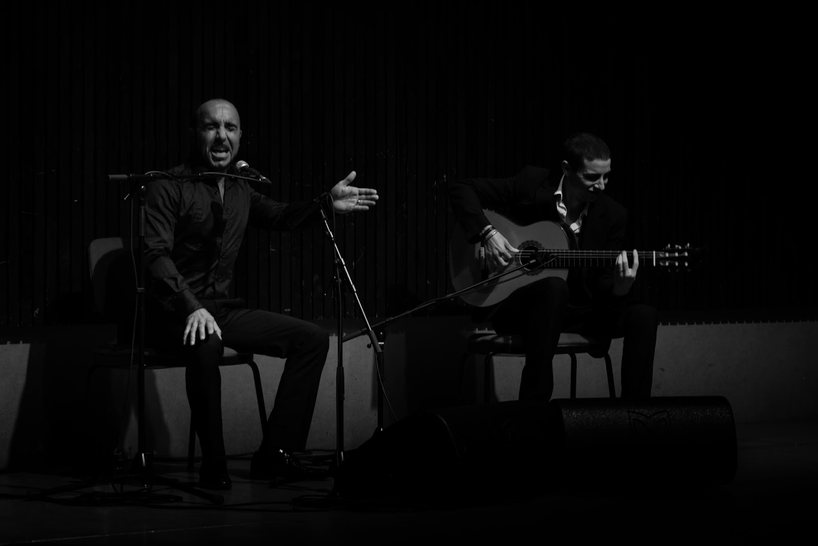 rencontre flamenca albi