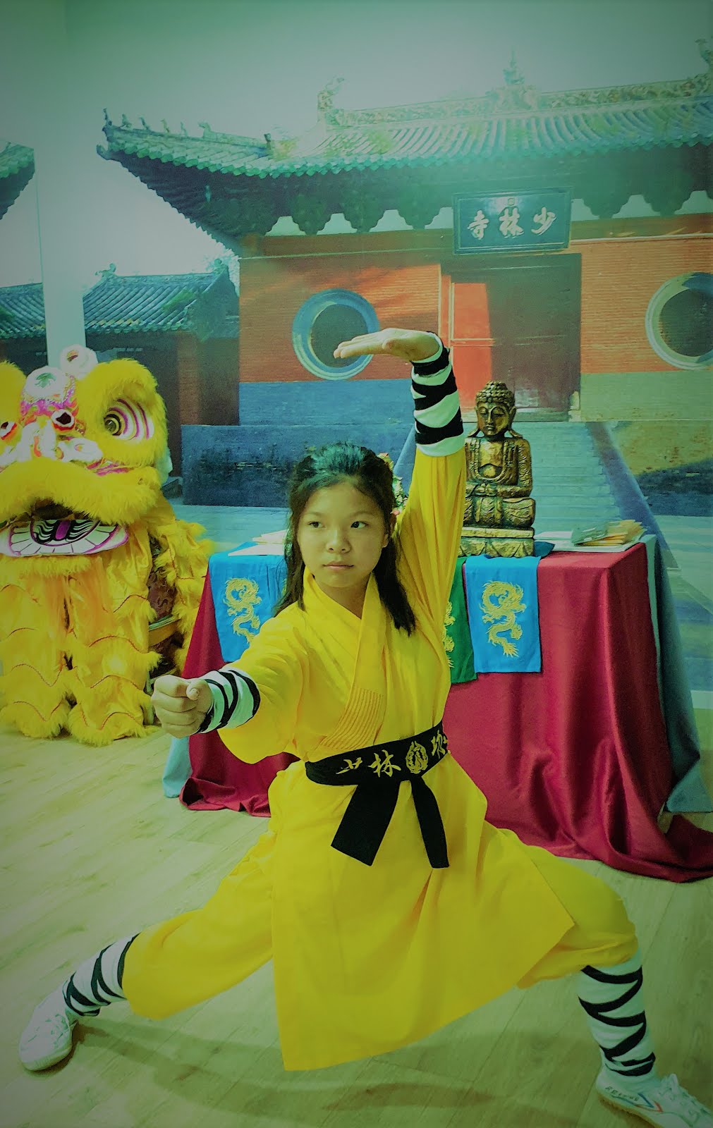 Kung-Fu Shaolin Wudang, Clases, Cursos , Niñas y Niños. Información: 626 992 139