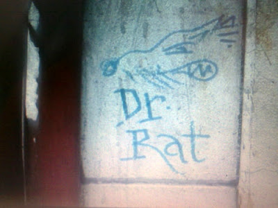 Erratic Phenomena Banksy S Rat Appreciation