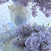 Lilacs & Transferware