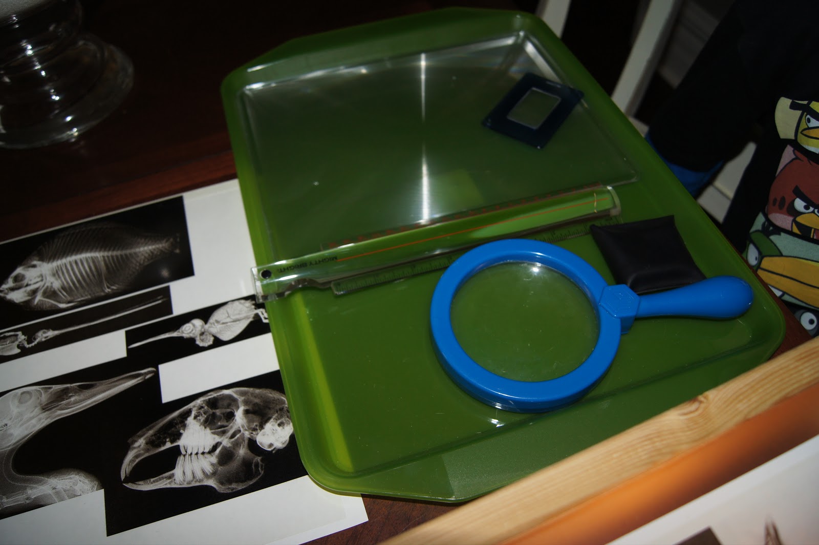 DIY Light Box & XRays, Science For Kids At Home "Making Montessori Ours"