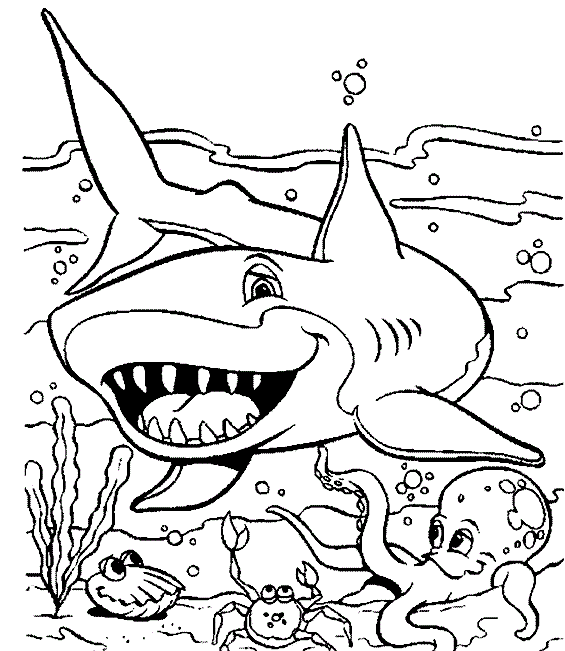 Animal Colouring Pages For Kids: Animal Ocean Coloring Pages