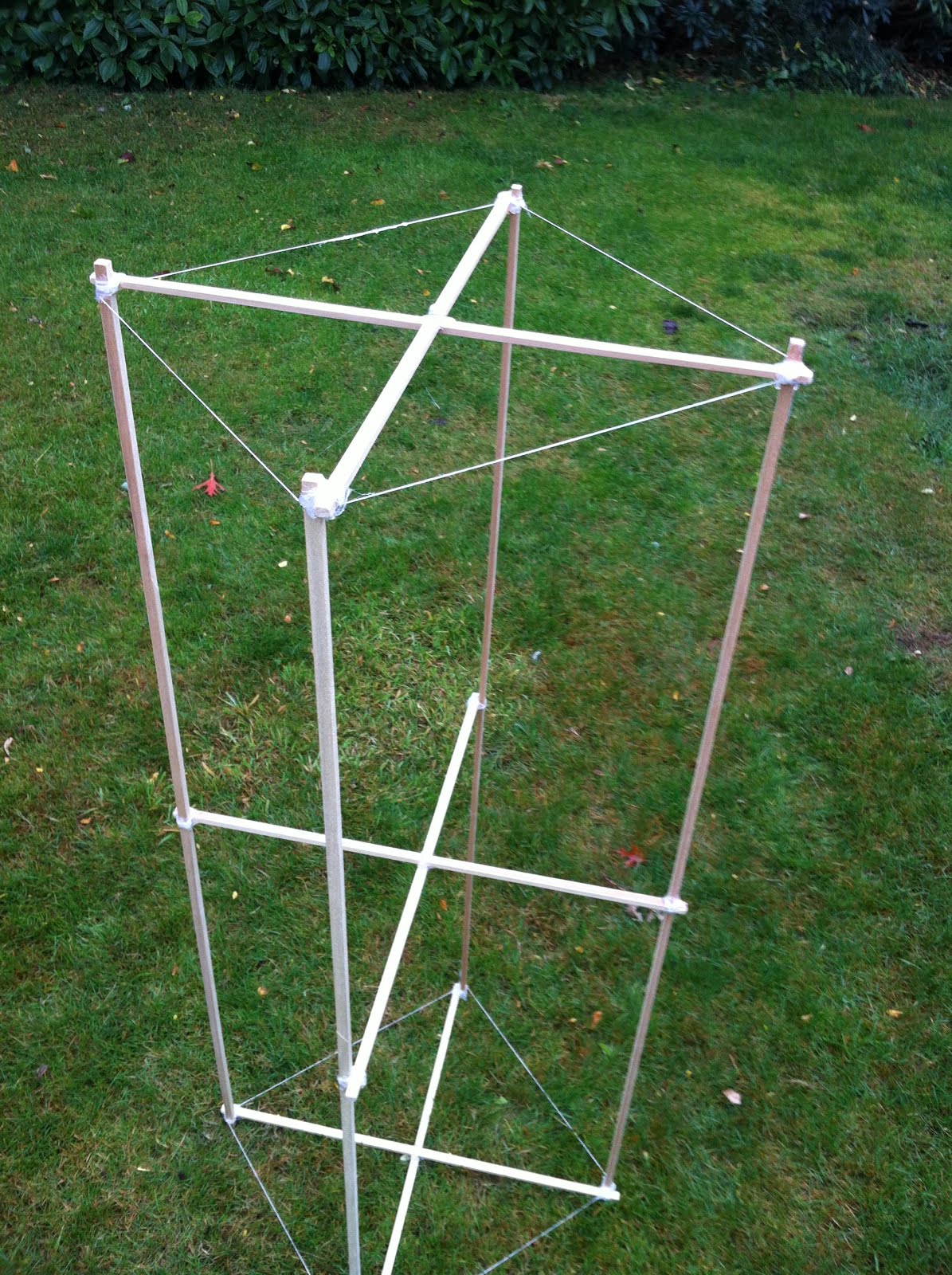 the kite string society