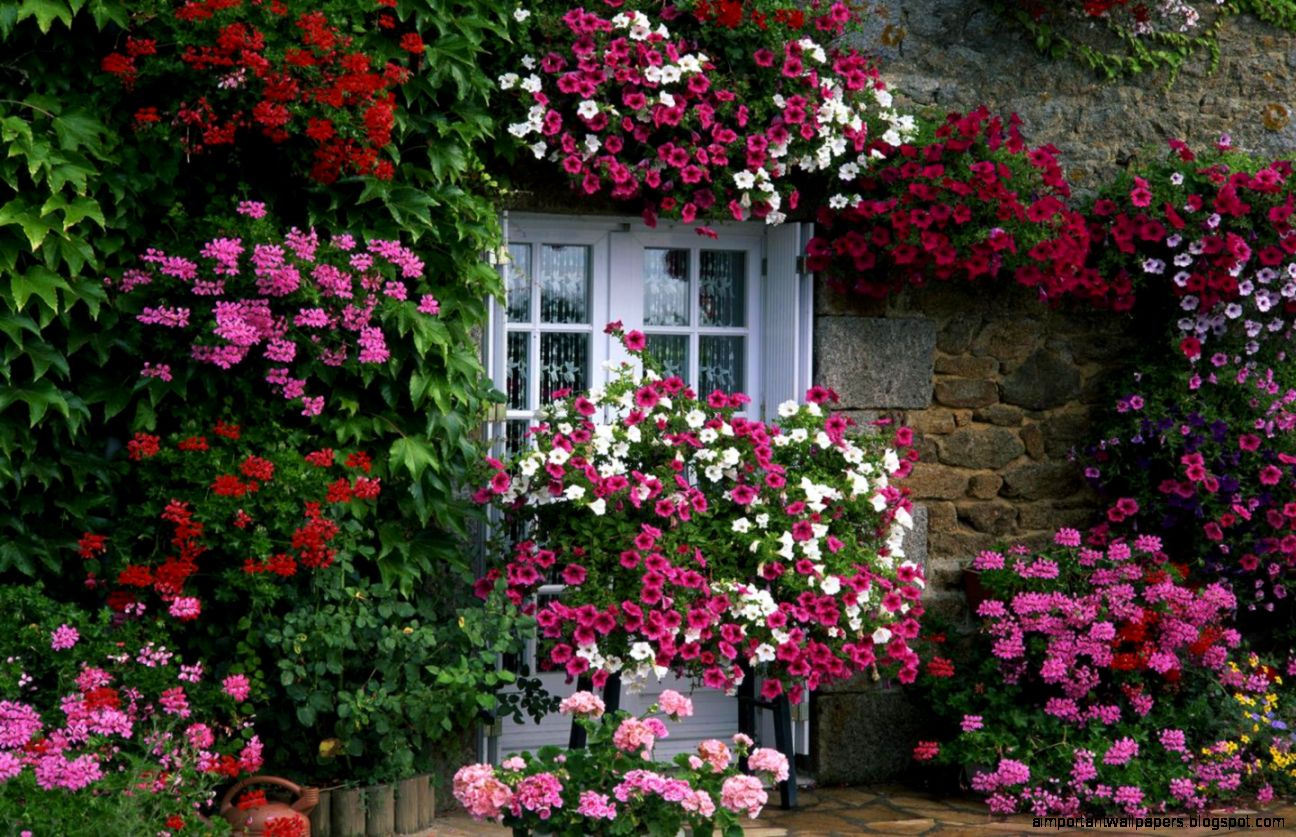 Exterior Designing Beautiful Garden Pictures in Zero Costs Exterior Designing Beautiful Garden Pictures in Zero Costs