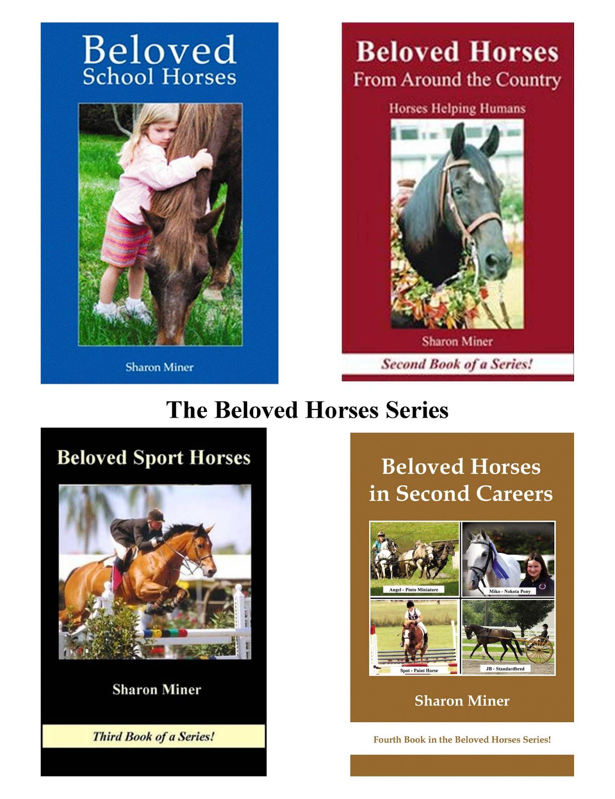 Horse Book Reviews 5 Beloved Horses Books!
