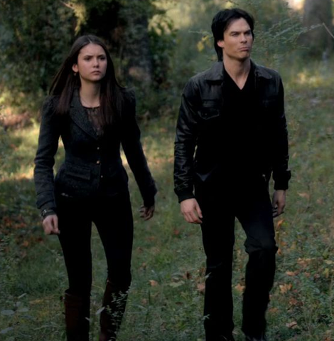 elena gilbert winter outfit