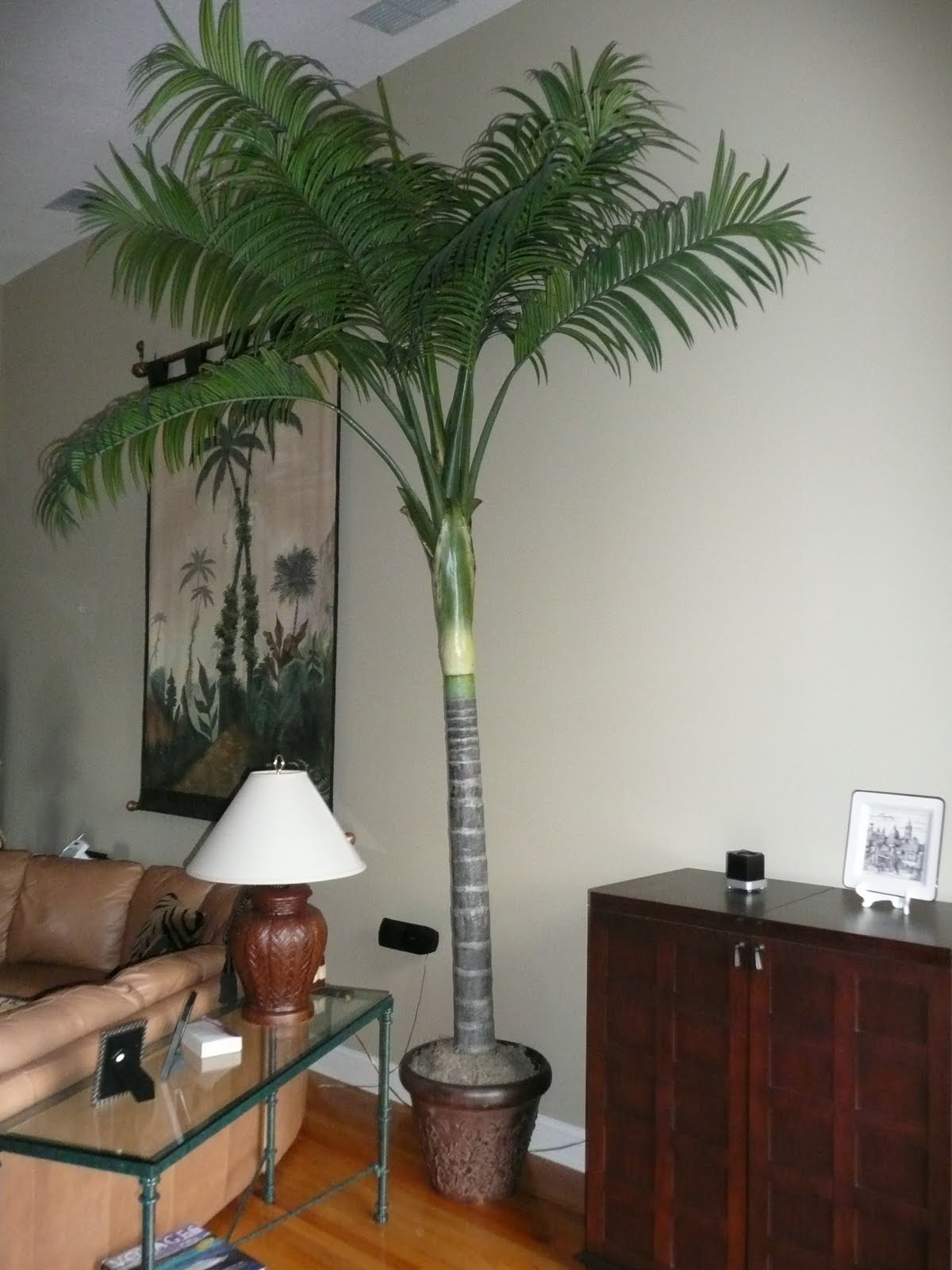 vickistuffforsale 12ft Indoor Palm Tree