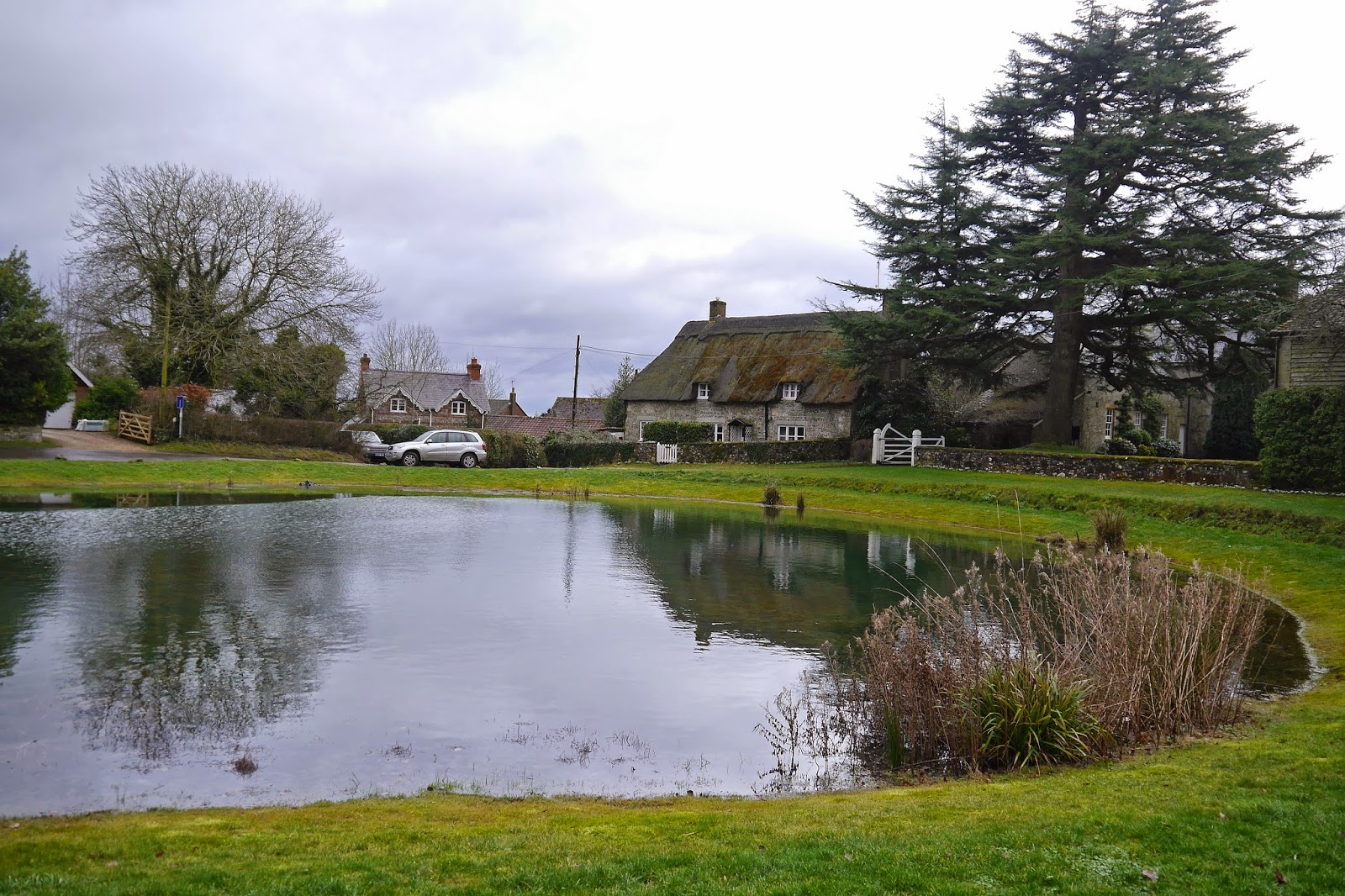 Walking in the country Ashmore and Stubhampton Bottom