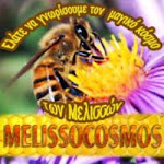Μελισσοκομικό Blog