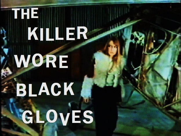THE KILLER WORE BLACK GLOVES