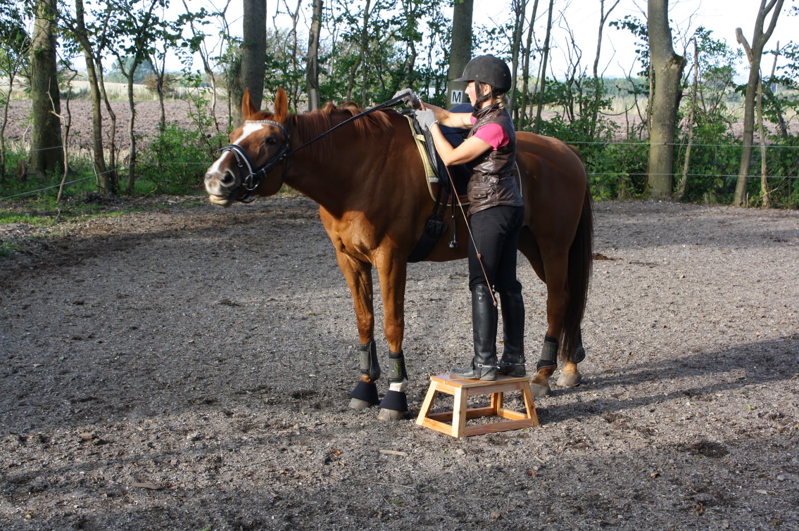Mulesaw Horse mounting stool