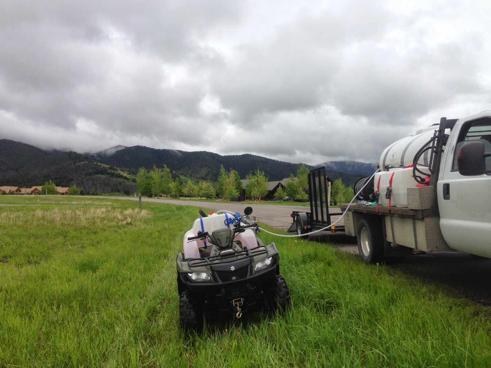 Montana Spraying Company; Weed Control in Bozeman, MT The White Pine