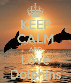 I ♥ Dolphins