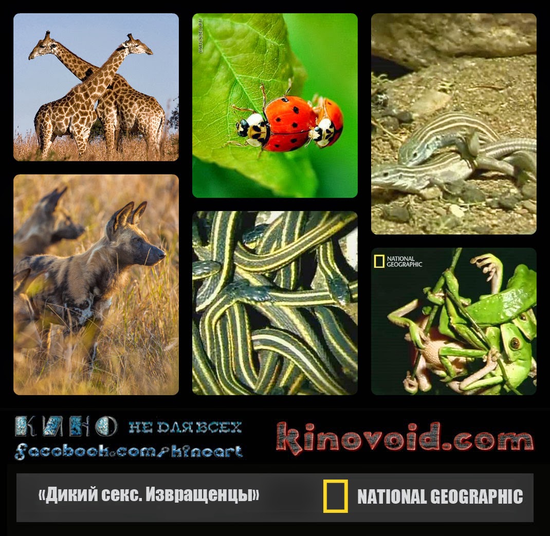 National Geographic: Извращенцы