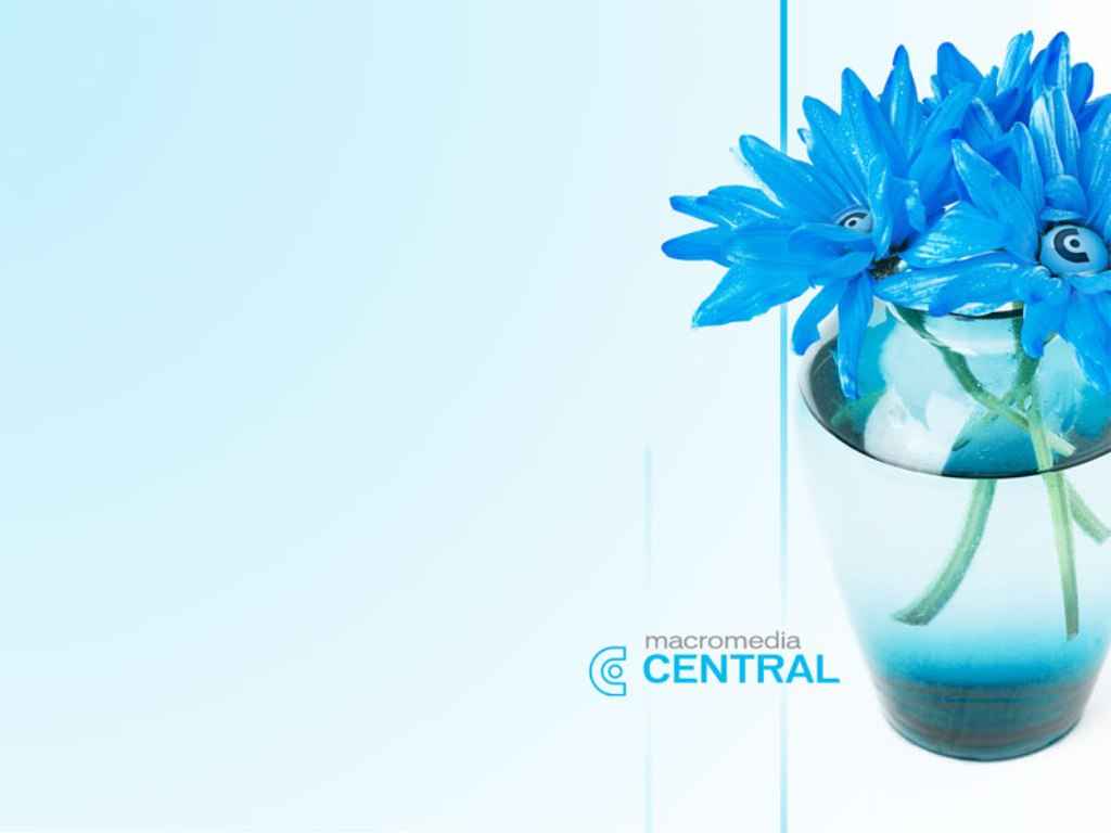 Flowers Wallpapers Blue Flowers Wallpapers