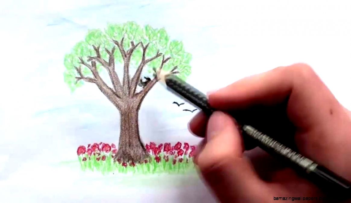 How To Draw A Tree With Colored Pencils Lesson 2 YouTube How To Draw A Tree With Colored Pencils Lesson 2 YouTube