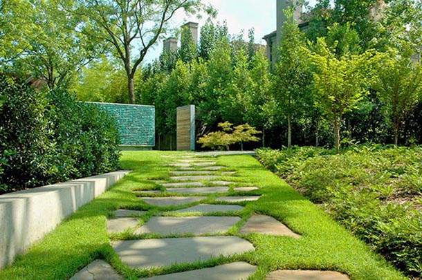 cheap landscaping ideas front