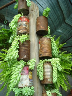 rust+tin+can+planter - DIY Tin Can Planters