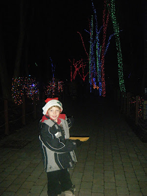 Toledo Zoo Christmas Lights