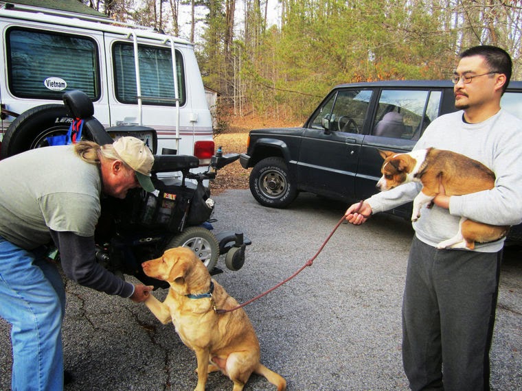 Service Dogs Shake Their Fur Service Dogs Shake Their Fur