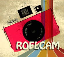 Lomography partner