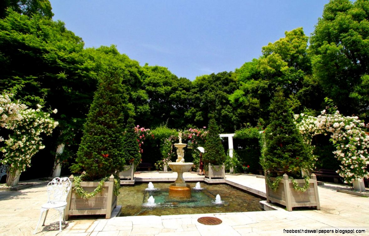 beautiful garden images BerryBerry beautiful garden images BerryBerry