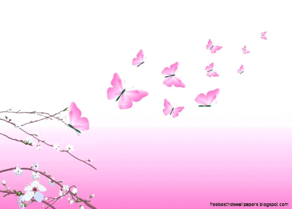 butterfly beauty pink design Photo by xonickel Photobucket butterfly beauty pink design Photo by xonickel Photobucket