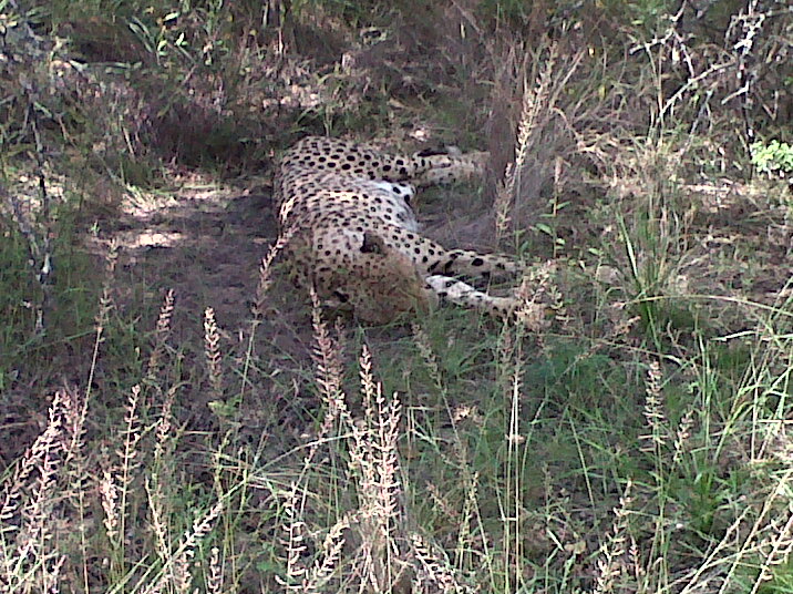 EcoTraining Blog: CAMP DIARIES: “DID YOU HEAR THE ONE ...