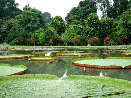 Tempat Wisata Di Bogor Murah Meriah