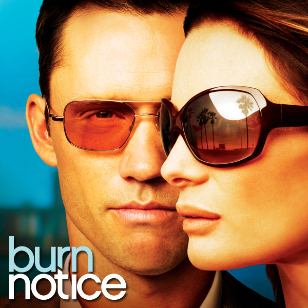 Burn Notice Poster Gallery1 Tv Series Posters and Cast
