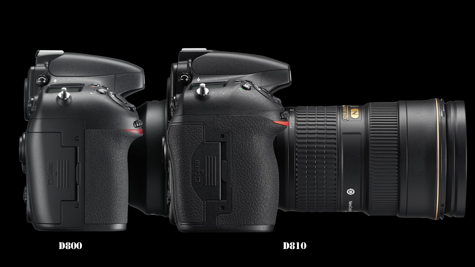 BLOG: ニコン、Nikon D810を発表 | 画力一新 | 最高画質は、未踏の撮影 