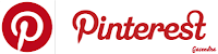 Pinterest Logo Font and Color Text Used