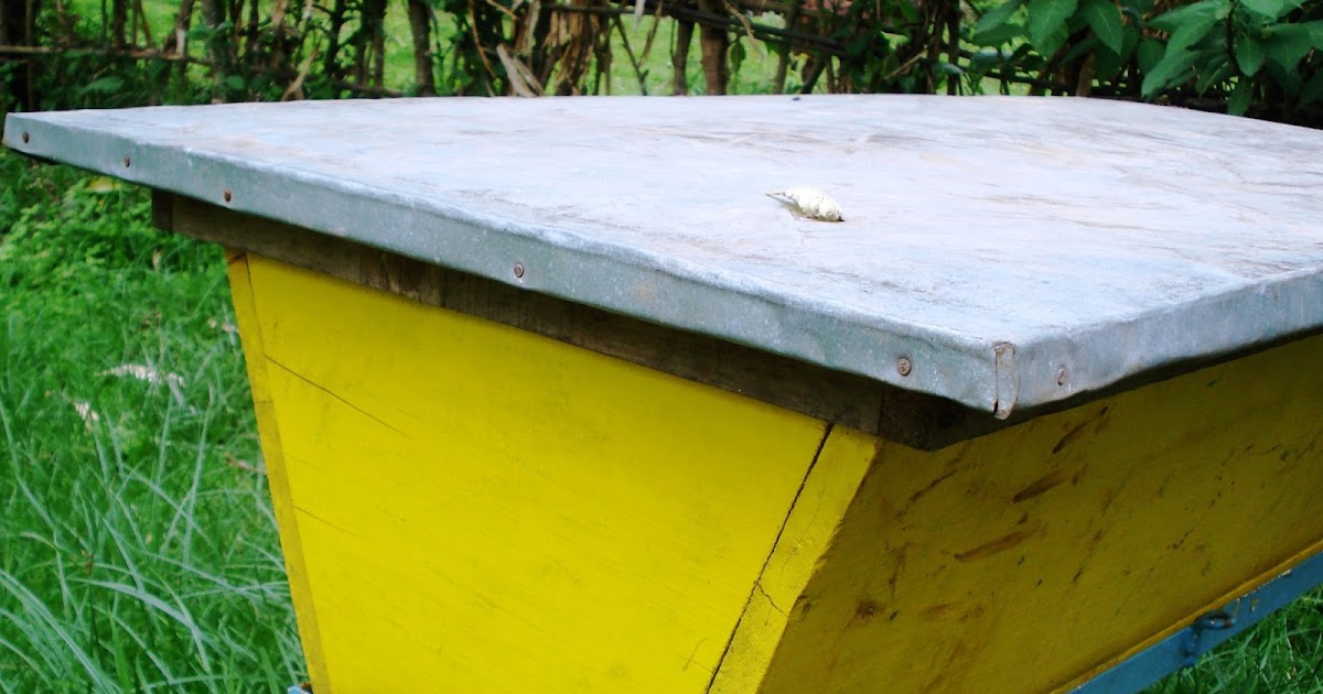 The Peace Bee Farmer Top Bar Hives