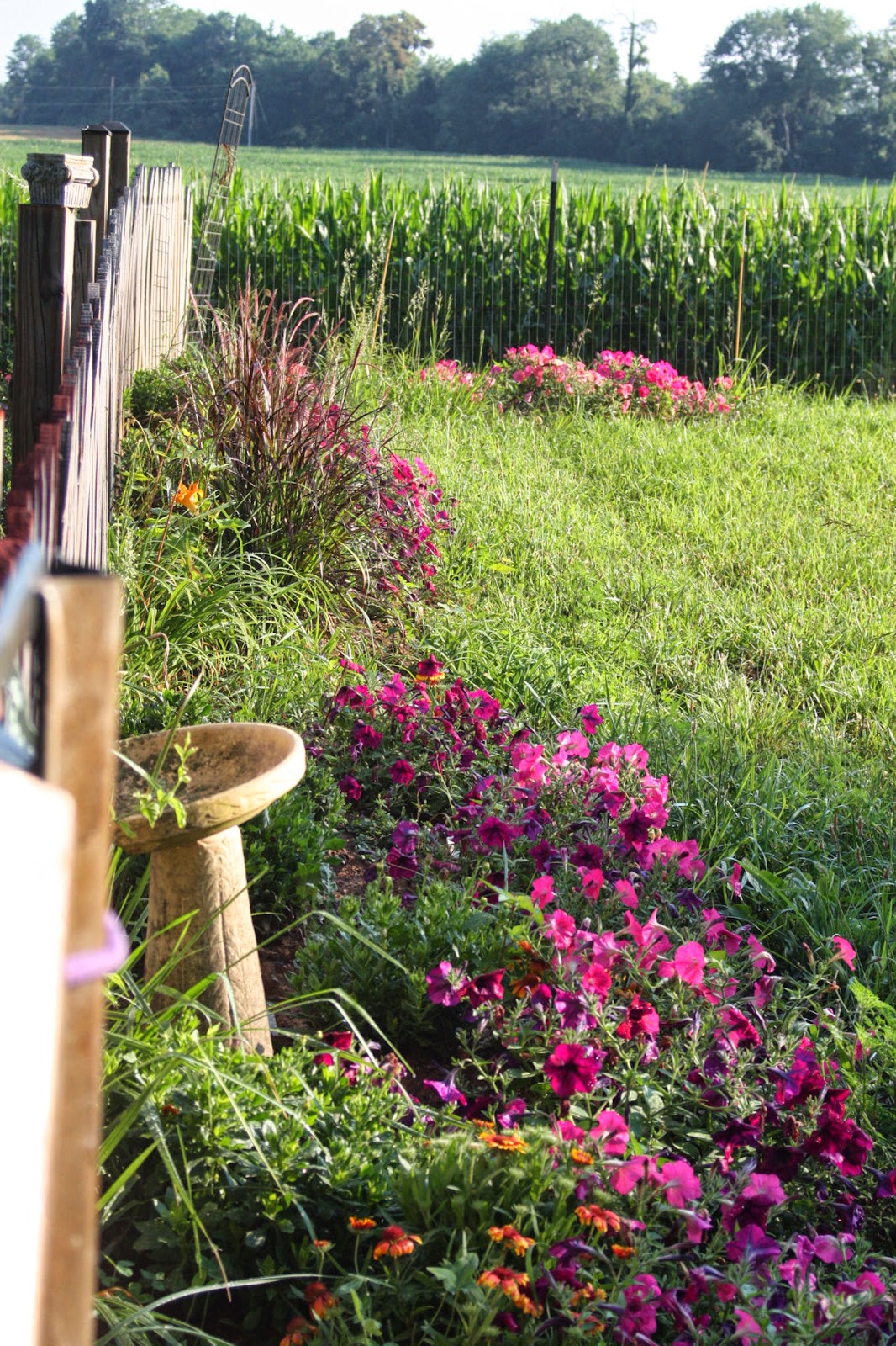 What to Consider If Your Fence Is Inside Your Property Line