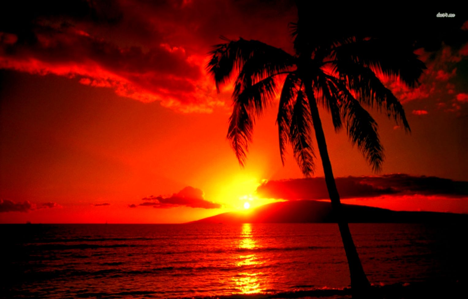 hawaii sunset wallpaper hawaii sunset wallpaper