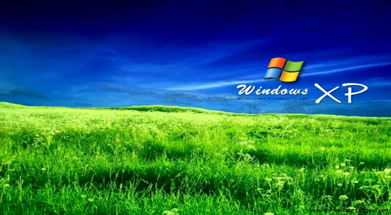 window wallpaper downloadhd wallpaperdownload free wallpaper window wallpaper downloadhd wallpaperdownload free wallpaper