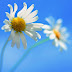 Top 10 Best iPad Air Wallpapers 2014 Top 10 Best iPad Air Wallpapers 2014