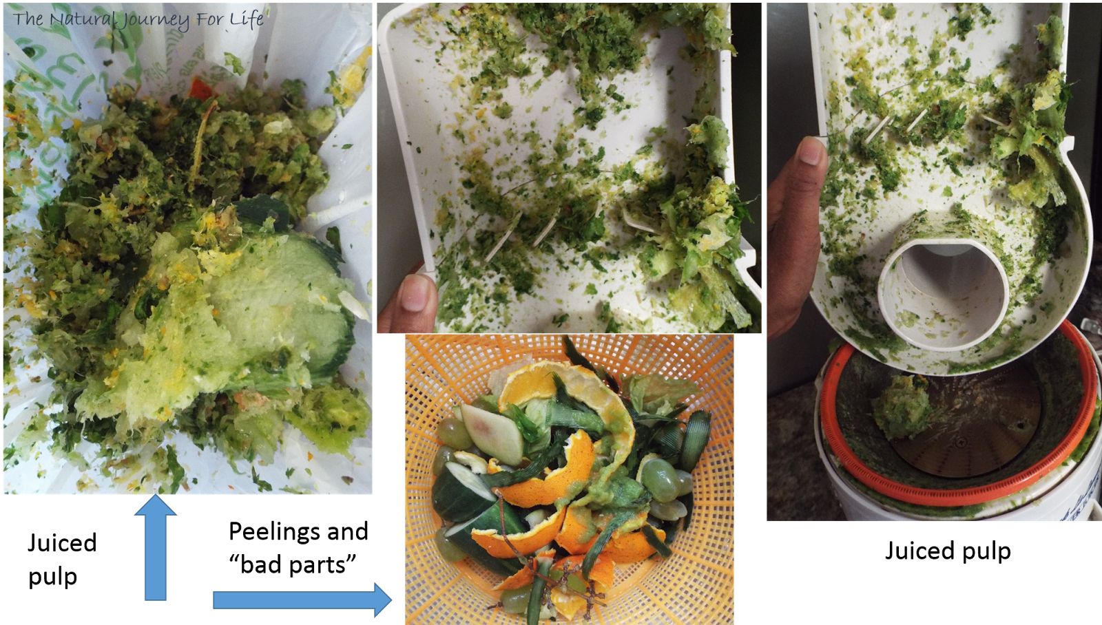 The Natural Journey For Life The Juice Journey Juicing waste!