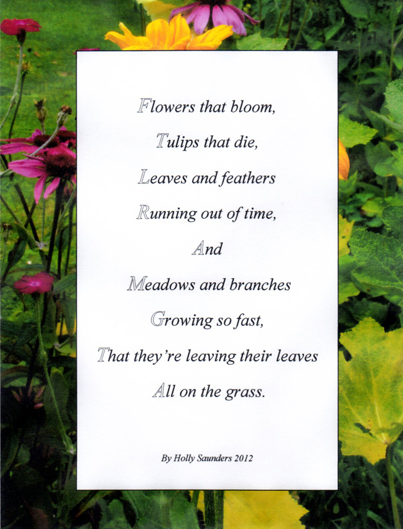 Come into my World of Poetry.......