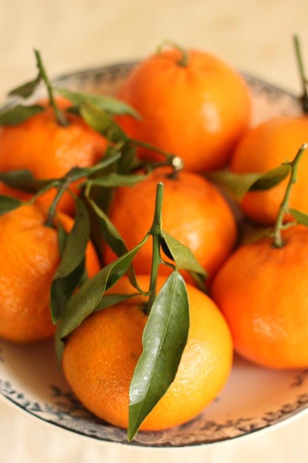French Sampler Rain, Clementines and Mulled Wine