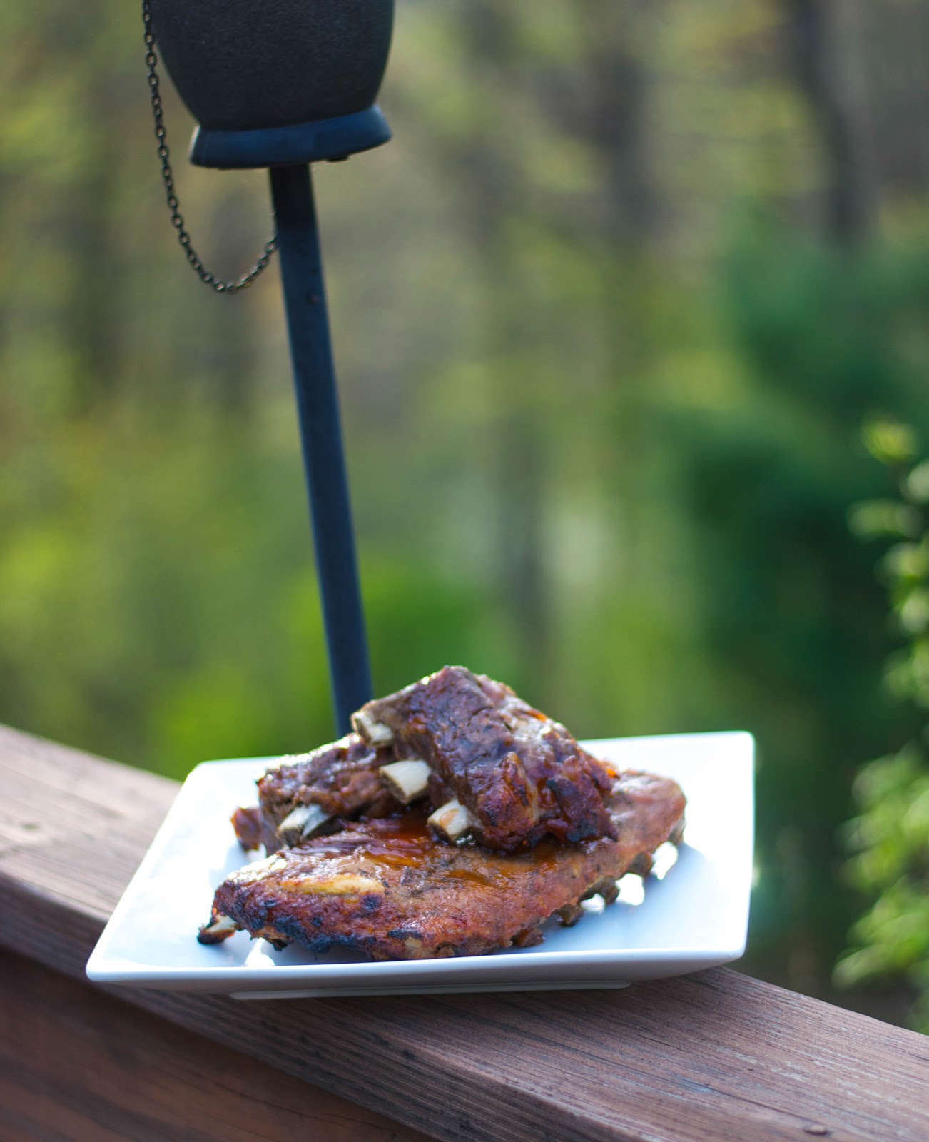 Ribs with Honey Maple BBQ Sauce Carrie’s Experimental Kitchen