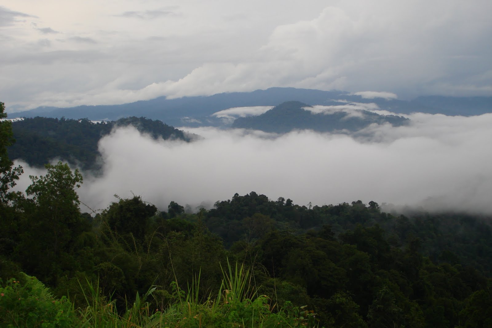 quand harry rencontre sally mu