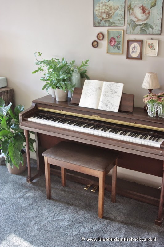Bluebirds in the backyard My Hammond Piano