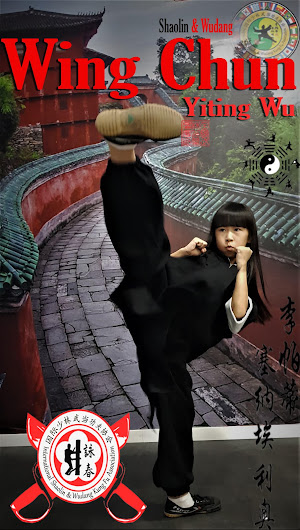 clases de Kung-Fu  - Azuqueca de Henares - Maestro Senna y Maestra Paty Lee. Tlf:626 992 139