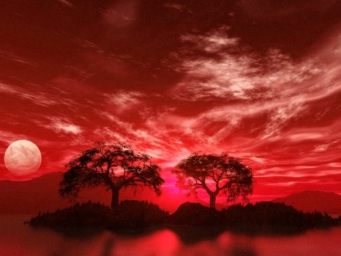 Blackberry Bold 9780, Red color wallpapers for free, Red nature