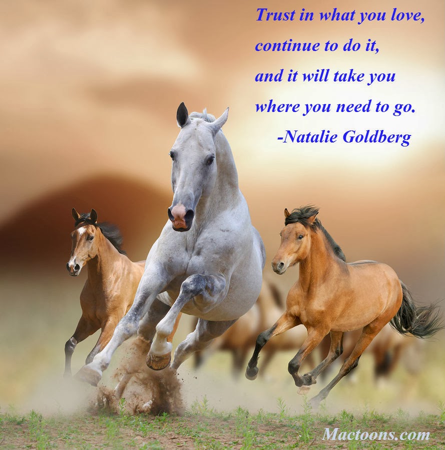 Thank You Horse Quotes. QuotesGram