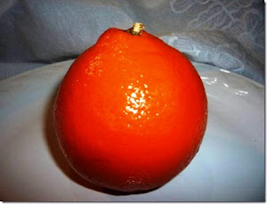 nAraNjA mOdELo