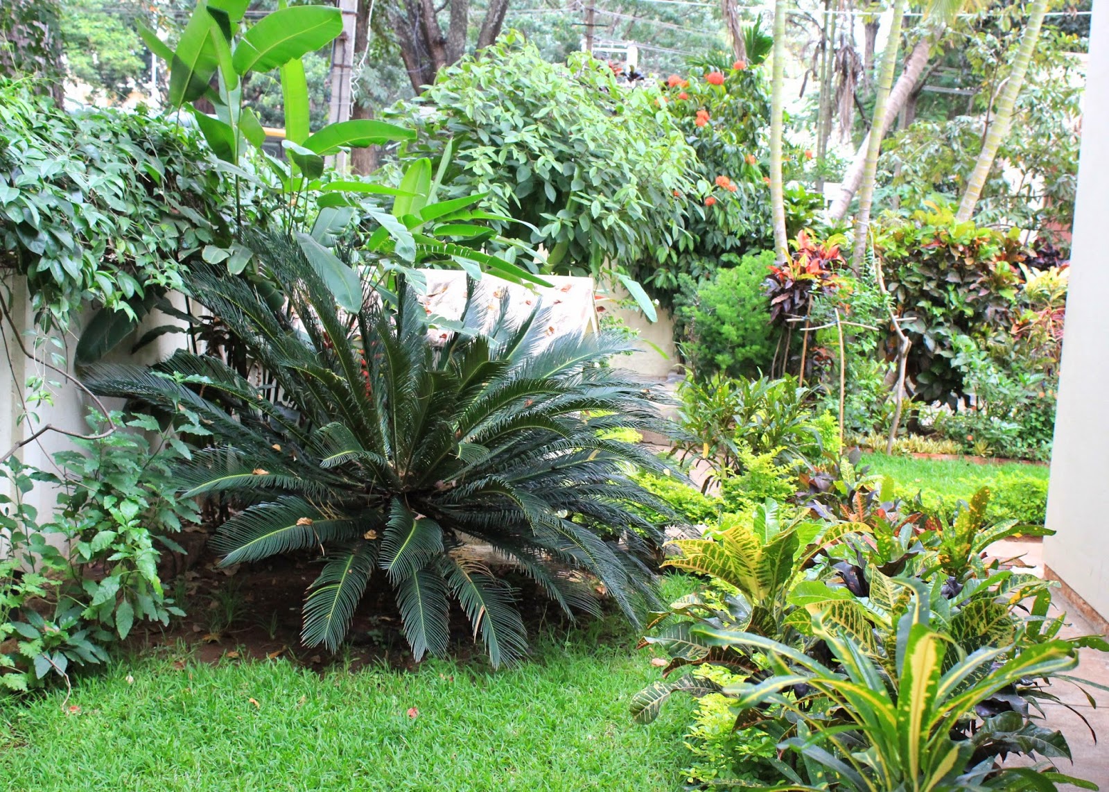 red house garden: an indian garden red house garden: an indian garden