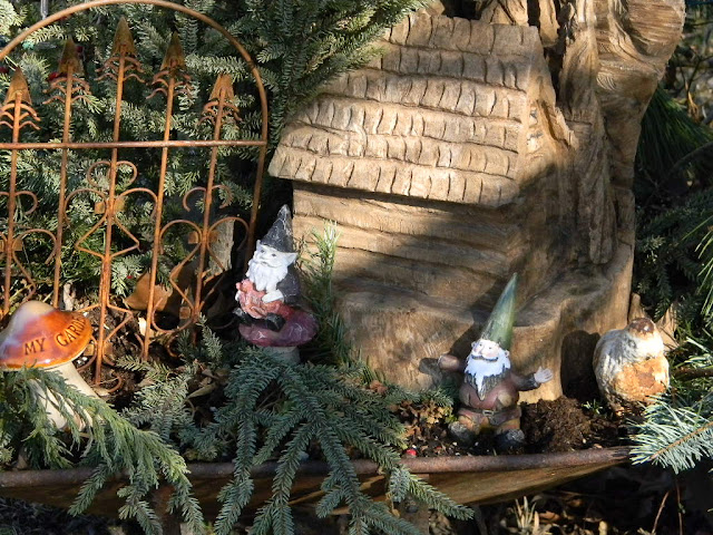 Through My Garden Window
